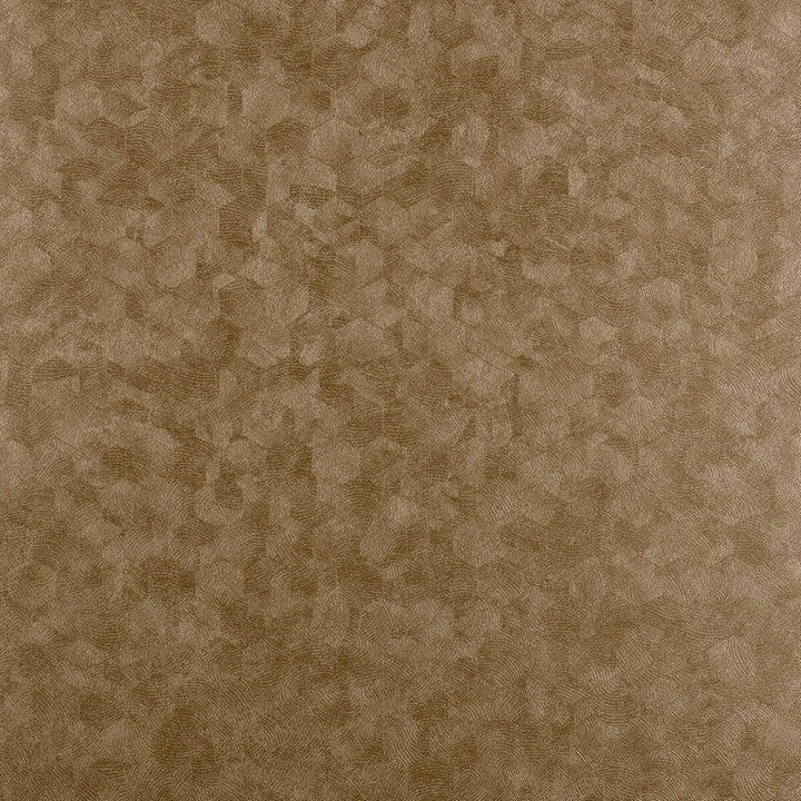 Hexagon Copper by Clarke And Clarke Wallcovering Clarke And Clarke Wallcovering Hexagon CopperWallcovering CLARKE & CLARKE REFLECTIONS WOOD PULP - 74%;BINDER - 13%;POLYESTER - 13% United Kingdom </p><p>Repeat: H: 20.875, V: 0 20.875 - Fabric Carolina -