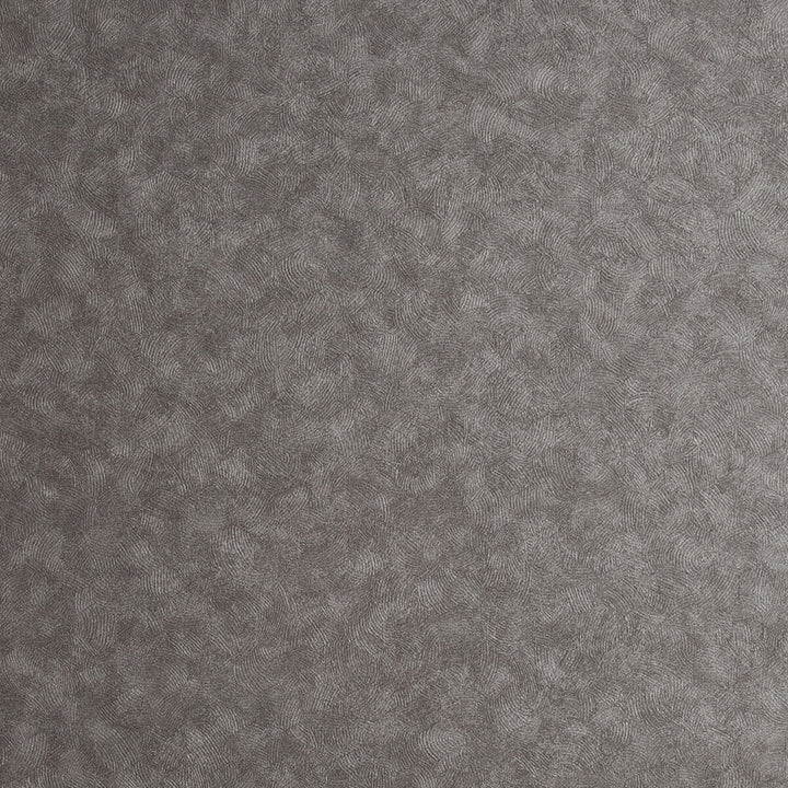 Hexagon Gunmetal by Clarke And Clarke Wallcovering CLARKE & CLARKE REFLECTIONS WOOD PULP - 74%;BINDER - 13%;POLYESTER - 13% United Kingdom Horizontal: 20.875 and Vertical: 0 20.875 - Fabric Carolina -
