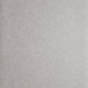 Hexagon Mercury by Clarke And Clarke Wallcovering