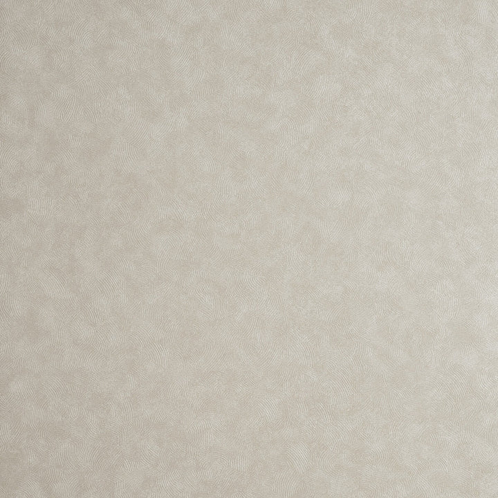 Hexagon Parchment by Clarke And Clarke Wallcovering CLARKE & CLARKE REFLECTIONS WOOD PULP - 74%;BINDER - 13%;POLYESTER - 13% United Kingdom - Horizontal: 20.875 and Vertical: 0 20.875 - Fabric Carolina -