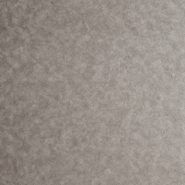 Hexagon Pewter by Clarke And Clarke Wallcovering CLARKE & CLARKE REFLECTIONS WOOD PULP - 74%;BINDER - 13%;POLYESTER - 13% United Kingdom Horizontal: 20.875 and Vertical: 0 20.875 - Fabric Carolina -