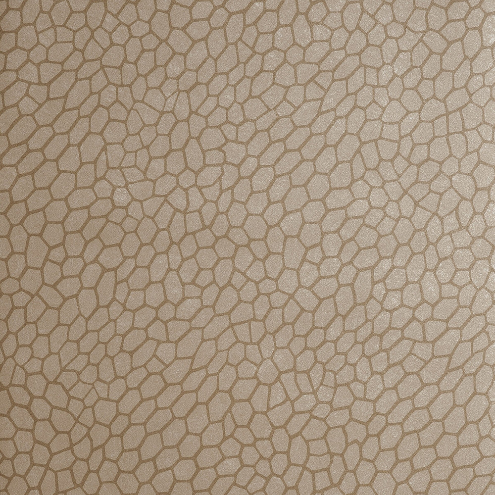 Playa Antique by Clarke And Clarke Wallcovering CLARKE & CLARKE REFLECTIONS WOOD PULP - 74%;BINDER - 13%;POLYESTER - 13% United Kingdom - Horizontal: 20.875 and Vertical: 20.875 20.875 - Fabric Carolina -
