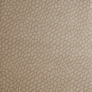 Playa Antique by Clarke And Clarke Wallcovering