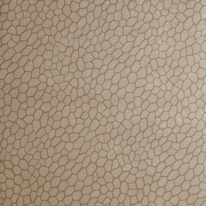 Playa Antique by Clarke And Clarke Wallcovering CLARKE & CLARKE REFLECTIONS WOOD PULP - 74%;BINDER - 13%;POLYESTER - 13% United Kingdom Horizontal: 20.875 and Vertical: 20.875 20.875 - Fabric Carolina -