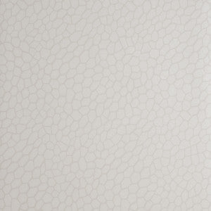 Playa Parchment by Clarke And Clarke Wallcovering