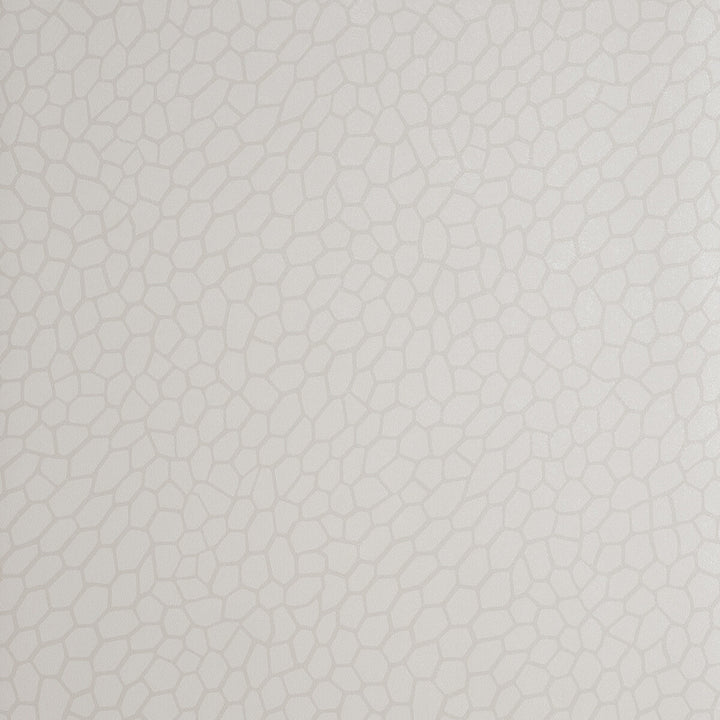 Playa Parchment by Clarke And Clarke Wallcovering CLARKE & CLARKE REFLECTIONS WOOD PULP - 74%;BINDER - 13%;POLYESTER - 13% United Kingdom Horizontal: 20.875 and Vertical: 20.875 20.875 - Fabric Carolina -
