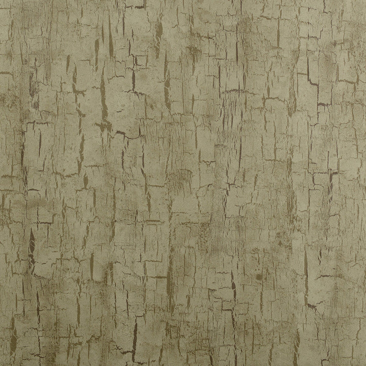 Tree Bark Antique by Clarke And Clarke Designer Wallcovering CLARKE & CLARKE REFLECTIONS WOOD PULP - 74%;BINDER - 13%;POLYESTER - 13% United Kingdom Horizontal: 20.875 and Vertical: 10.5 20.875 - Swanky Fabrics -