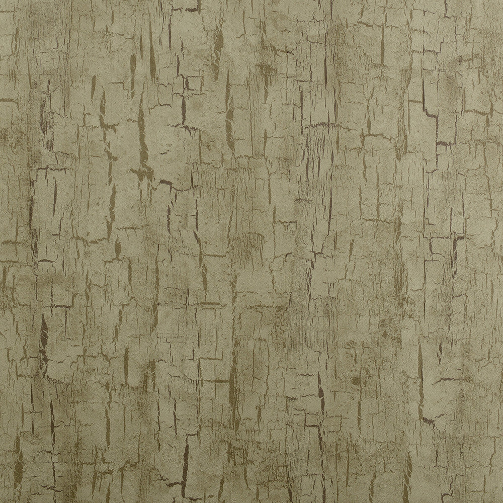 Tree Bark Antique by Clarke And Clarke Wallcovering CLARKE & CLARKE REFLECTIONS WOOD PULP - 74%;BINDER - 13%;POLYESTER - 13% United Kingdom Horizontal: 20.875 and Vertical: 10.5 20.875 - Fabric Carolina -