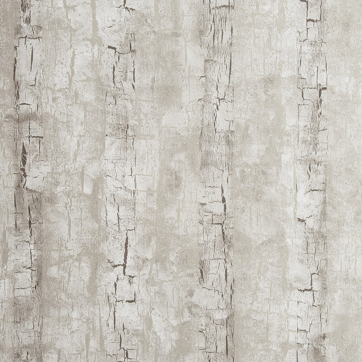 Tree Bark Birch by Clarke And Clarke Wallcovering CLARKE & CLARKE REFLECTIONS WOOD PULP - 74%;BINDER - 13%;POLYESTER - 13% United Kingdom Horizontal: 20.875 and Vertical: 10.5 20.875 - Fabric Carolina -