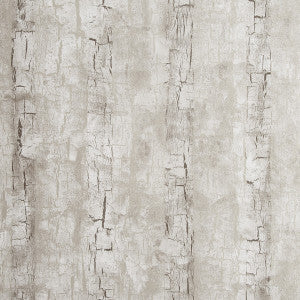 Tree Bark Birch by Clarke And Clarke Wallcovering