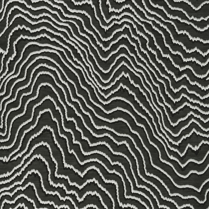 Fiji Charcoal by Clarke And Clarke Wallcovering CLARKE & CLARKE COLONY Belgium Horizontal: 0 and Vertical: 20.875 20.875 - Fabric Carolina -