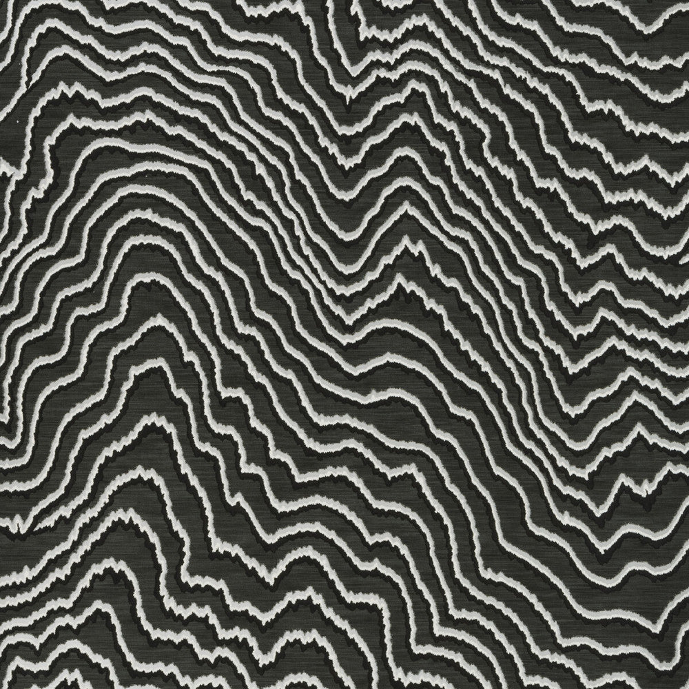 Fiji Charcoal by Clarke And Clarke Wallcovering CLARKE & CLARKE COLONY Belgium Horizontal: 0 and Vertical: 20.875 20.875 - Fabric Carolina -