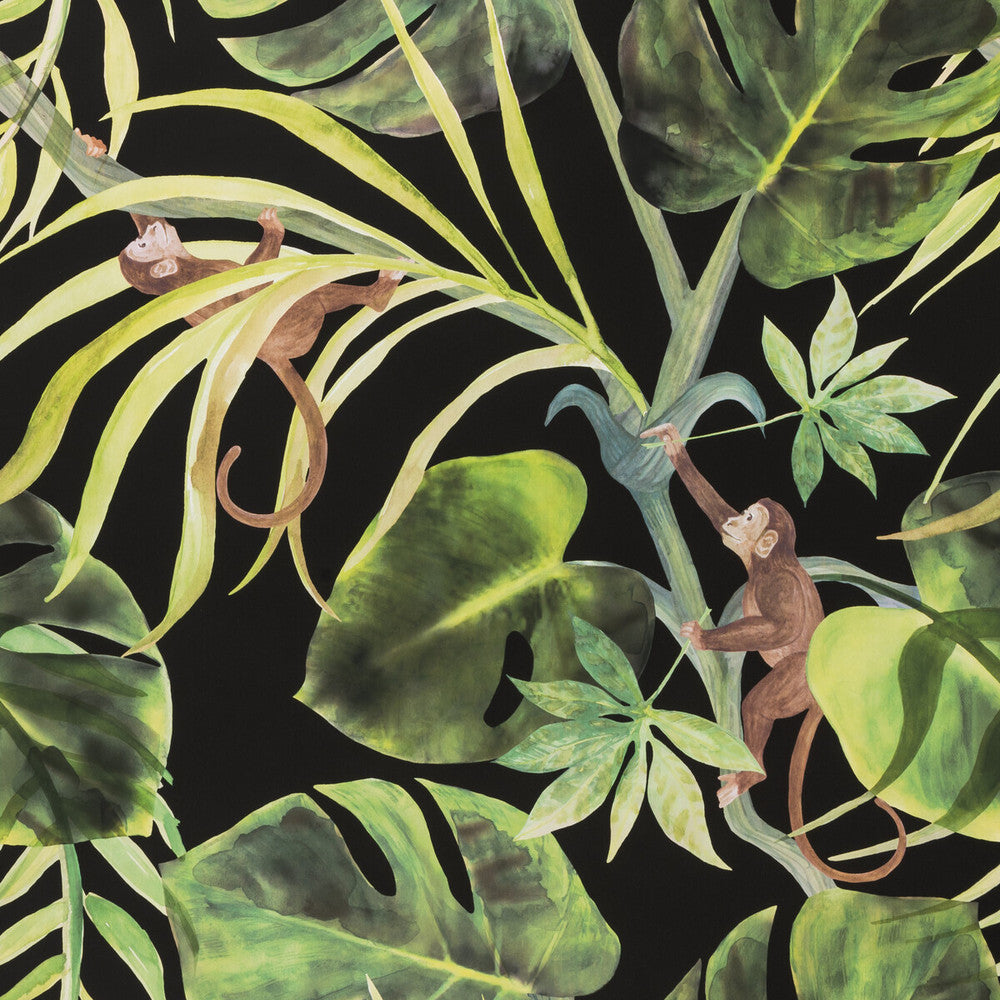 Monkey Business Ebony by Clarke And Clarke Wallcovering Clarke And Clarke Wallcovering Monkey Business EbonyWallcovering CLARKE & CLARKE COLONY Belgium </p><p>Repeat: H: 0, V: 20.875 20.875 - Fabric Carolina -