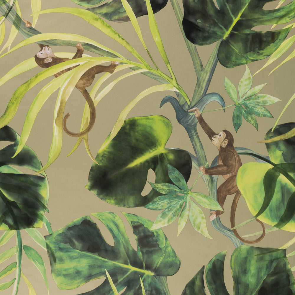 Monkey Business Gilver by Clarke And Clarke Wallcovering CLARKE & CLARKE COLONY - Belgium - Horizontal: 0 and Vertical: 20.875 20.875 - Fabric Carolina -