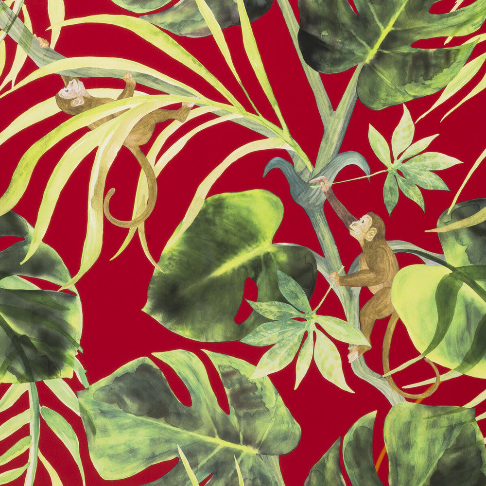 Monkey Business Rouge by Clarke And Clarke Wallcovering CLARKE & CLARKE COLONY Belgium Horizontal: 0 and Vertical: 20.875 20.875 - Fabric Carolina -