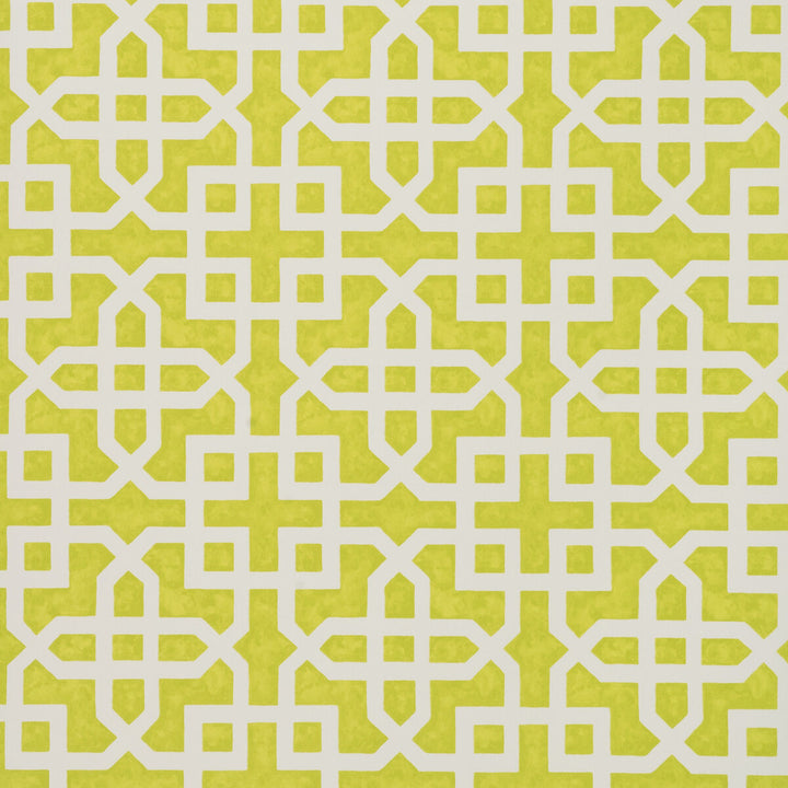 Monserrat Citron by Clarke And Clarke Wallcovering CLARKE & CLARKE COLONY - Belgium - Horizontal: 0 and Vertical: 7 20.875 - Fabric Carolina -