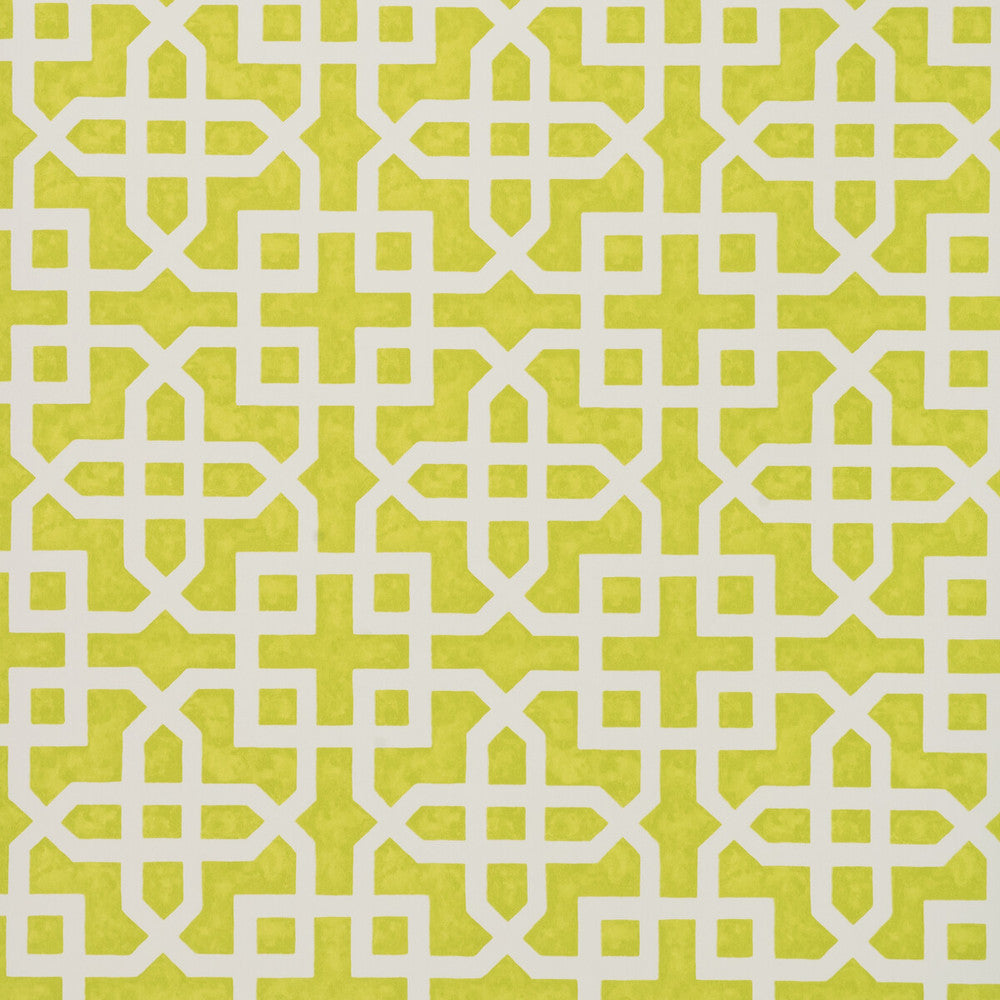 Monserrat Citron by Clarke And Clarke Wallcovering CLARKE & CLARKE COLONY - Belgium - Horizontal: 0 and Vertical: 7 20.875 - Fabric Carolina -