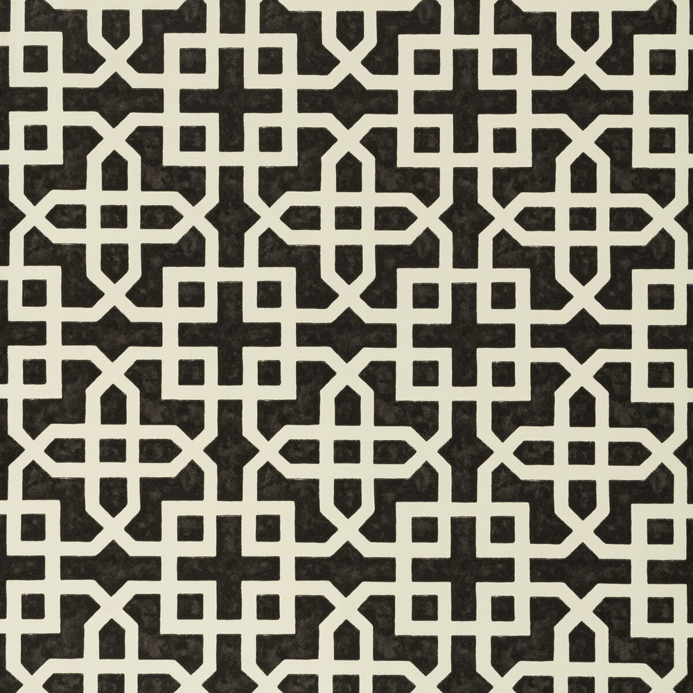 Monserrat Ebony by Clarke And Clarke Wallcovering CLARKE & CLARKE COLONY Belgium Horizontal: 0 and Vertical: 7 20.875 - Fabric Carolina -