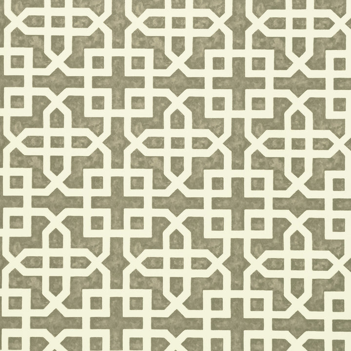 Monserrat Taupe by Clarke And Clarke Wallcovering CLARKE & CLARKE COLONY Belgium Horizontal: 0 and Vertical: 7 20.875 - Fabric Carolina -