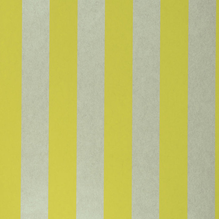 Nevis Citron by Clarke And Clarke Wallcovering CLARKE & CLARKE COLONY - Belgium - Horizontal: 0 and Vertical: 0 20.875 - Fabric Carolina -