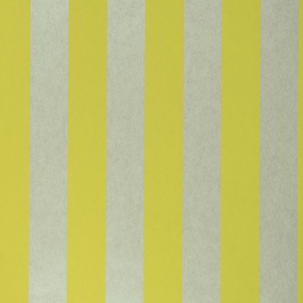 Nevis Citron by Clarke And Clarke Wallcovering CLARKE & CLARKE COLONY - Belgium - Horizontal: 0 and Vertical: 0 20.875 - Fabric Carolina -