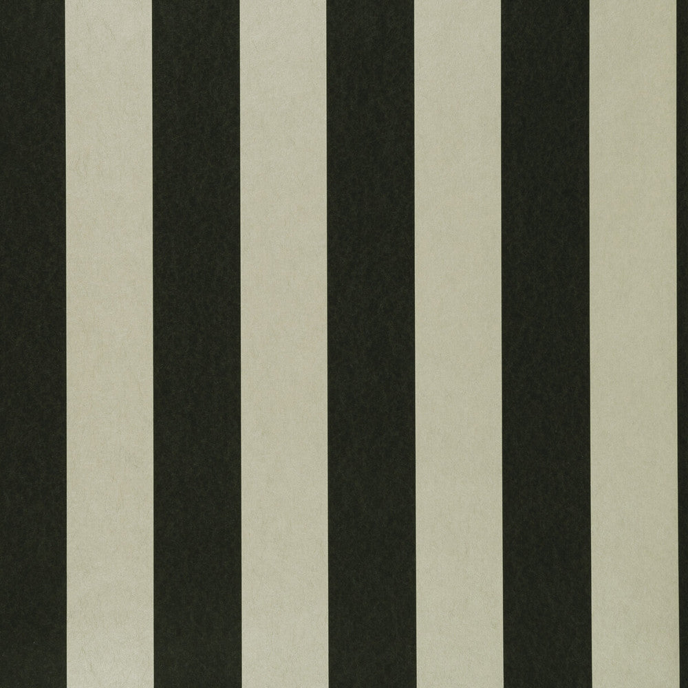 Nevis Ebony by Clarke And Clarke Wallcovering CLARKE & CLARKE COLONY Belgium Horizontal: 0 and Vertical: 0 20.875 - Fabric Carolina -