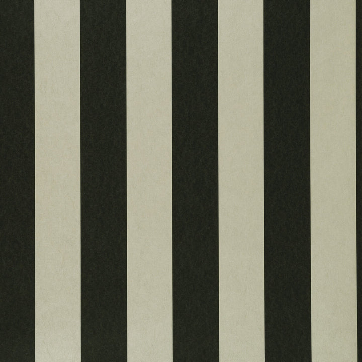 Nevis Ebony by Clarke And Clarke Wallcovering CLARKE & CLARKE COLONY Belgium Horizontal: 0 and Vertical: 0 20.875 - Fabric Carolina -