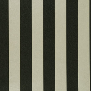 Nevis Ebony by Clarke And Clarke Wallcovering