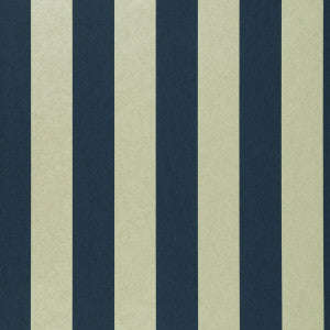 Nevis Midnight by Clarke And Clarke Wallcovering