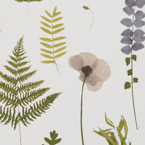 Herbarium Blush by Clarke And Clarke Wallcovering