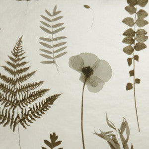 Herbarium Charcoal/Gold by Clarke And Clarke Wallcovering