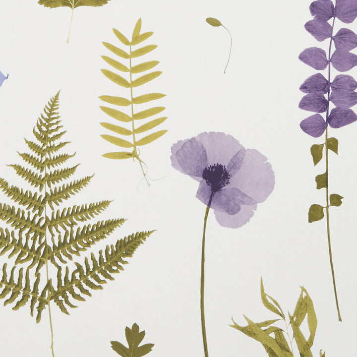 Herbarium Heather by Clarke And Clarke Wallcovering CLARKE & CLARKE BOTANICA United Kingdom Horizontal: and Vertical: 20.5 - Fabric Carolina -
