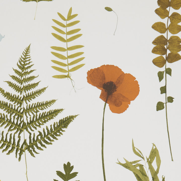 Herbarium Multi/Ivory by Clarke And Clarke Wallcovering CLARKE & CLARKE BOTANICA - United Kingdom - Horizontal: - and Vertical: - 20.5 - Fabric Carolina -