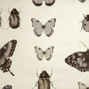 Papilio Charcoal/Gold by Clarke And Clarke Wallcovering