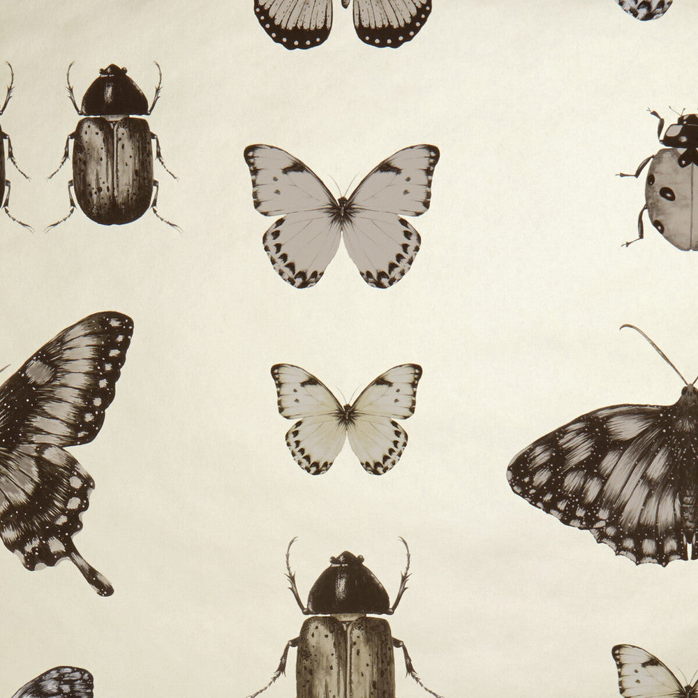 Papilio Charcoal/Gold by Clarke And Clarke Wallcovering Clarke And Clarke Wallcovering Papilio Charcoal/GoldWallcovering CLARKE & CLARKE BOTANICA United Kingdom </p><p>Repeat: H: , V: 20.5 - Fabric Carolina -