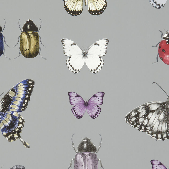 Papilio Heather/Gilver by Clarke And Clarke Wallcovering CLARKE & CLARKE BOTANICA United Kingdom Horizontal: and Vertical: 20.5 - Fabric Carolina -