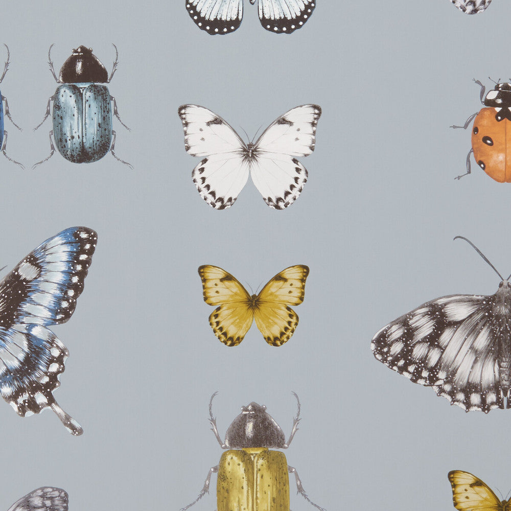 Papilio Mineral/Gilver by Clarke And Clarke Wallcovering CLARKE & CLARKE BOTANICA - United Kingdom - Horizontal: - and Vertical: - 20.5 - Fabric Carolina -