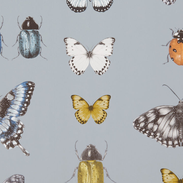 Papilio Mineral/Gilver by Clarke And Clarke Wallcovering CLARKE & CLARKE BOTANICA - United Kingdom - Horizontal: - and Vertical: - 20.5 - Fabric Carolina -