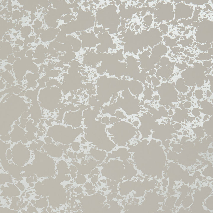 Pietra Blush/Gilver by Clarke And Clarke Wallcovering CLARKE & CLARKE BOTANICA United Kingdom Horizontal: and Vertical: 20.5 - Fabric Carolina -