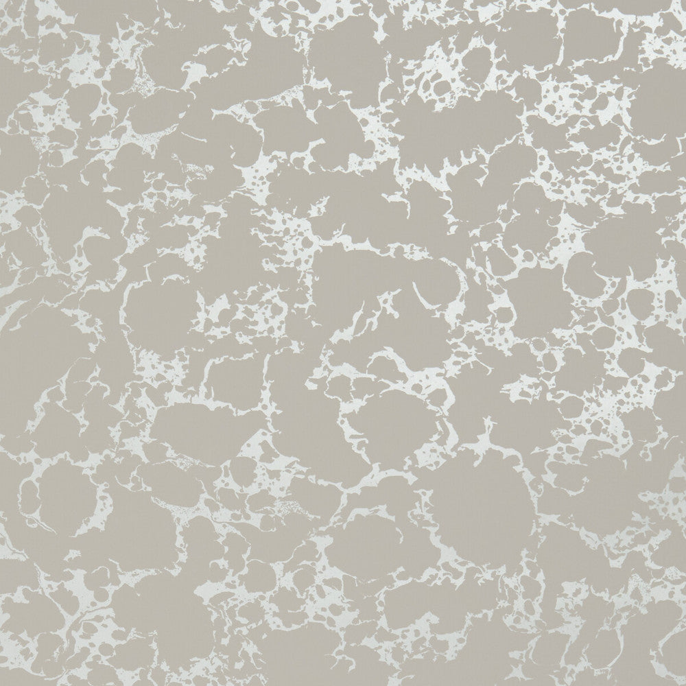 Pietra Blush/Gilver by Clarke And Clarke Wallcovering CLARKE & CLARKE BOTANICA United Kingdom Horizontal: and Vertical: 20.5 - Fabric Carolina -