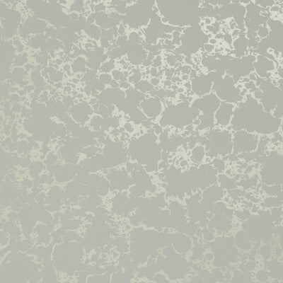 W0096/05.CAC.0 by Clarke And Clarke Wallcovering Clarke And Clarke Wallcovering W0096/05.CAC.0Wallcovering CLARKE & CLARKE BOTANICA United Kingdom </p><p>Repeat: H: , V: 20.5 - Fabric Carolina -