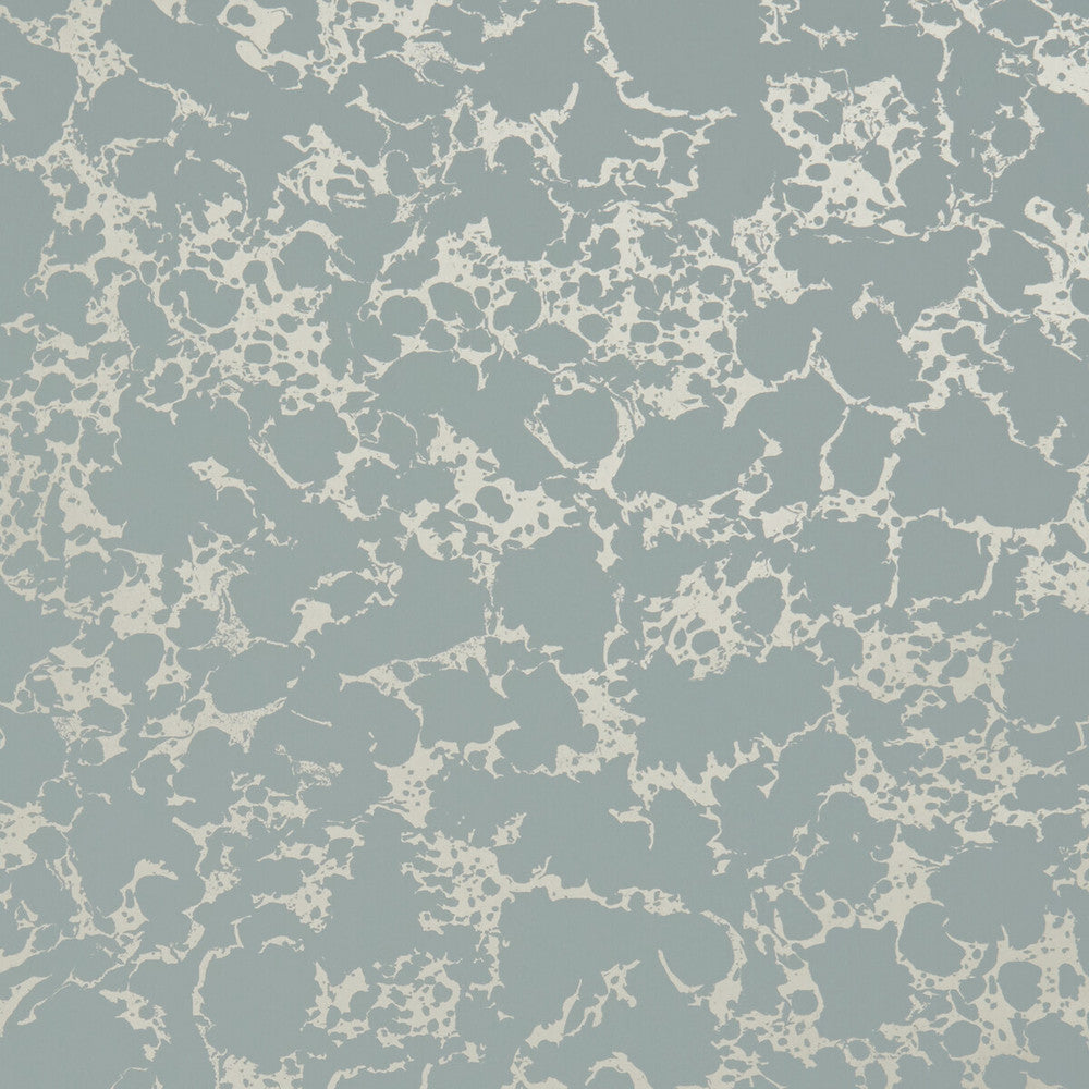 Pietra Mineral/Gold by Clarke And Clarke Wallcovering CLARKE & CLARKE BOTANICA United Kingdom Horizontal: and Vertical: 20.5 - Fabric Carolina -