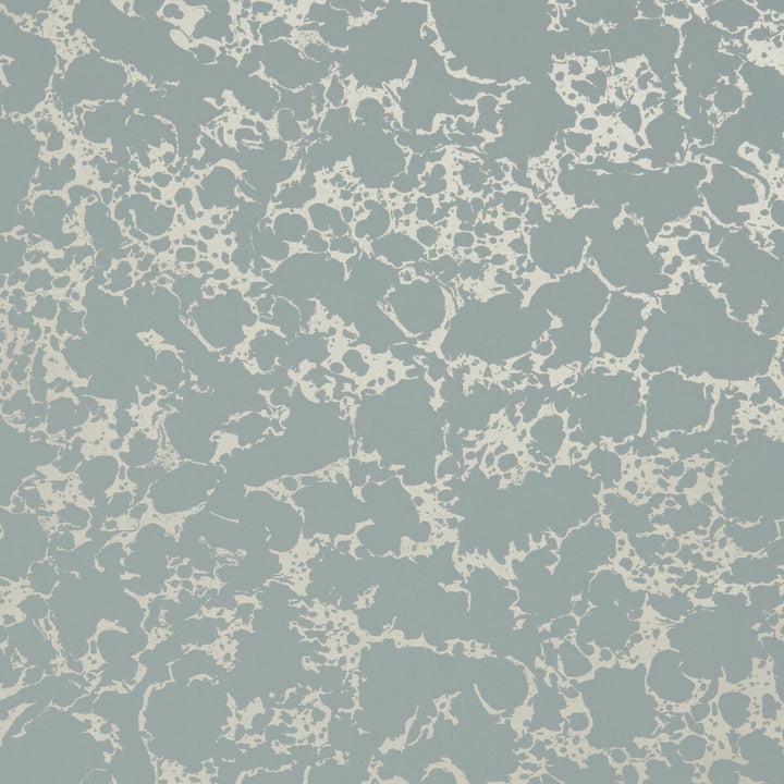 Pietra Mineral/Gold by Clarke And Clarke Wallcovering CLARKE & CLARKE BOTANICA - United Kingdom - Horizontal: - and Vertical: - 20.5 - Fabric Carolina -