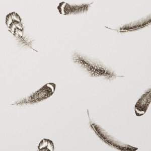 Plumis Ivory/Gold by Clarke And Clarke Wallcovering