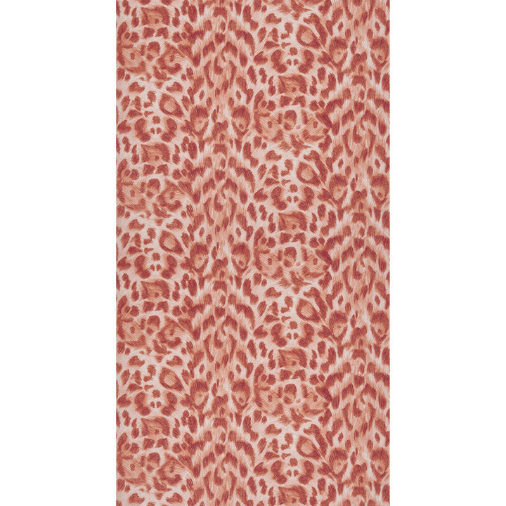 Felis Red/Rose Gold by Clarke And Clarke Wallcovering Clarke And Clarke Wallcovering Felis Red/Rose Gold Wallcovering WILDERIE BY EMMA J SHIPLEY FOR C&C NON WOVEN - 100% United Kingdom </p><p>Repeat: H: 0, V: 10.24 21 - Fabric Carolina -
