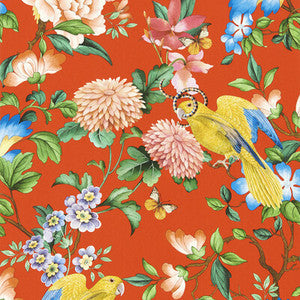 Golden Parrot Wp Coral by Clarke And Clarke Wallcovering