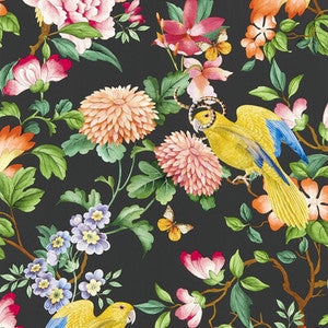 Golden Parrot Wp Noir by Clarke And Clarke Wallcovering