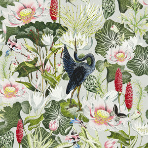 Waterlily Wp Dove by Clarke And Clarke Wallcovering
