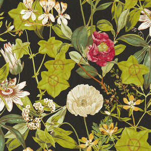 Passiflora Noir Wp by Clarke And Clarke Wallcovering