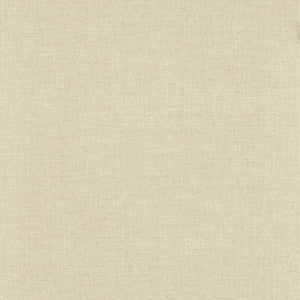 Dalton Putty Wp W0157/04.CAC.0 by Clarke And Clarke Wallcovering